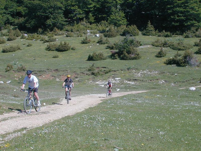pedalata2 06.jpg